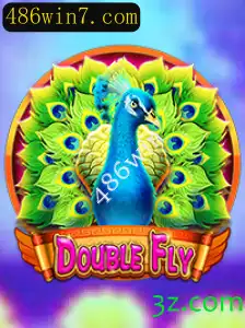 DoubleFly: Descubra o Universo do Jogo e Suas Regras Inovadoras